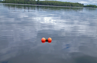 image of Lindy Marker Buoy in the water